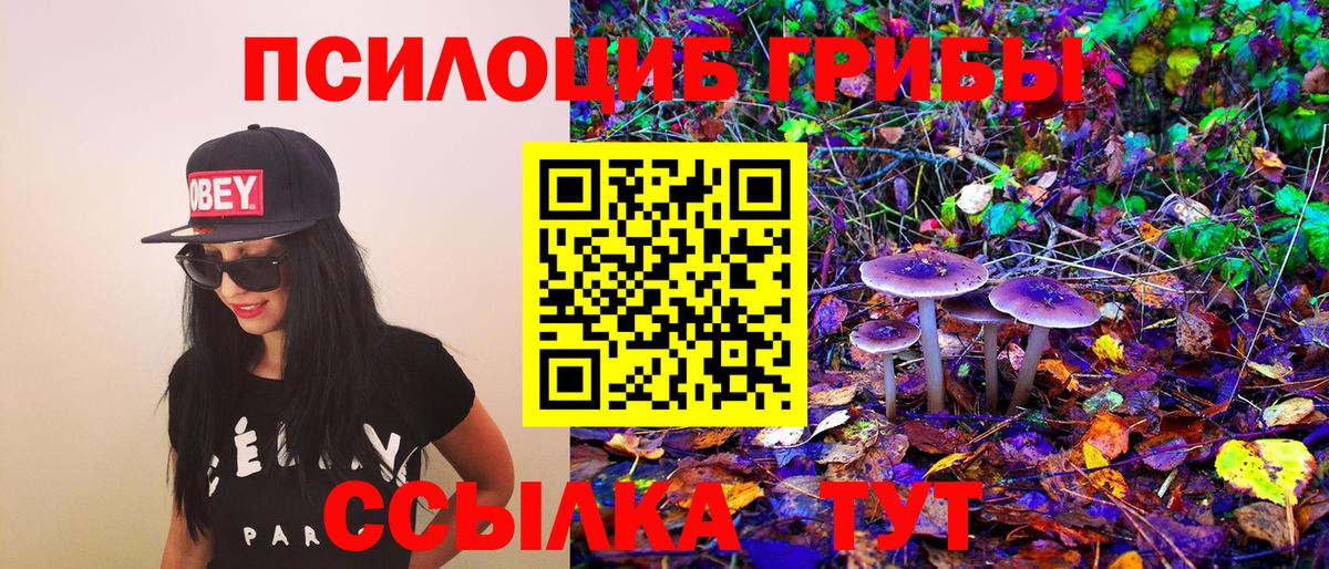 Алексин  Псилоцибиновые грибы Psilocybe  наркотики  Вход с VPN 